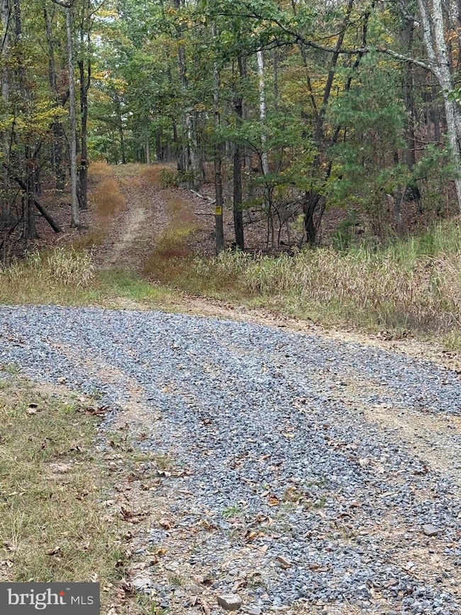 0 Posey Hollow unit WVMO2007026, Berkeley Springs, WV 25411 - photo 3