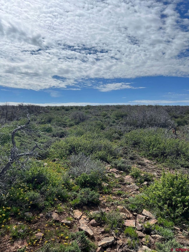 3 County Road C, Dove Creek, CO 81324 - photo 2