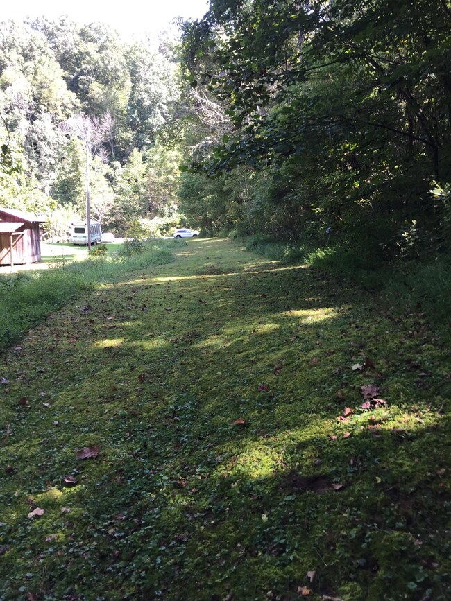 Willow Branch Rd