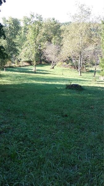 Center view of property