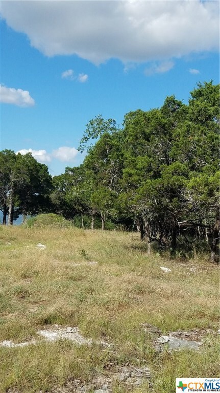 5561 Cliff Ln, Temple, TX 76502 - photo 5