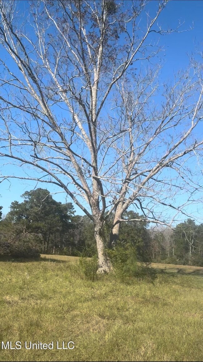 E 528 Rd, Kiln, MS 39556 - photo 6