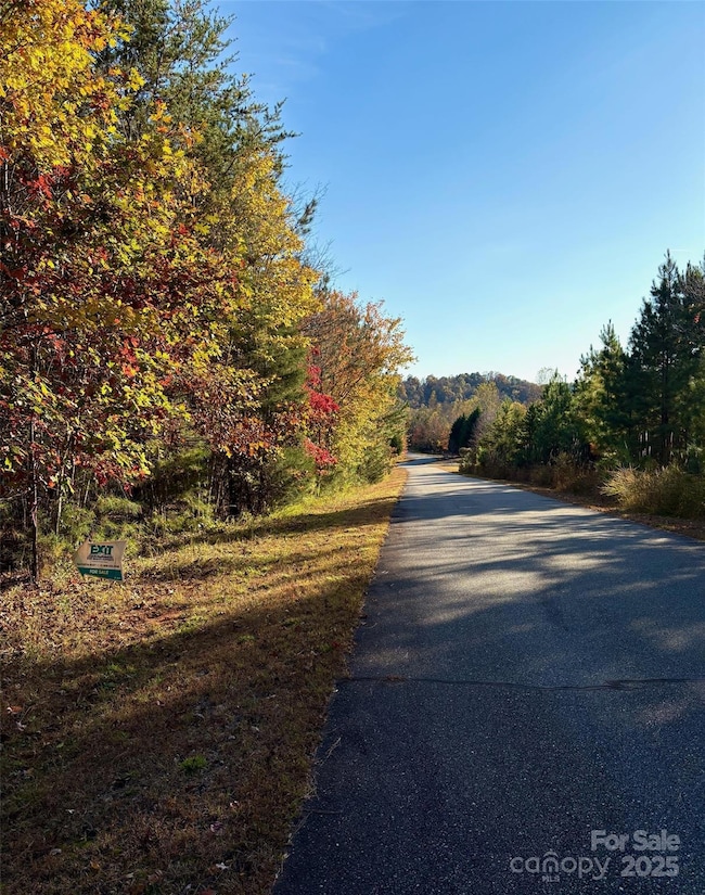 0 Cross Creek Dr unit 261 CAR4231323, Rutherfordton, NC 28139 - photo 6