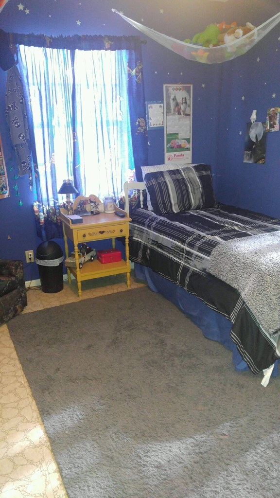 207 Glenmoor Dr, Fredericksburg, TX 78624 - photo 5