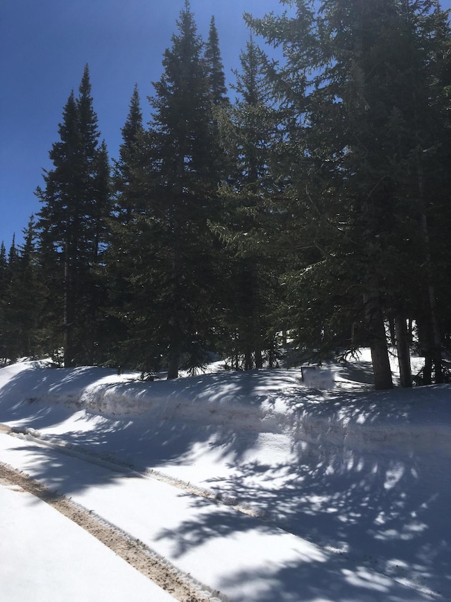 1056 Meadow Dr unit CBMH UnB BlkD 4, Brian Head, UT 84719 - photo 2