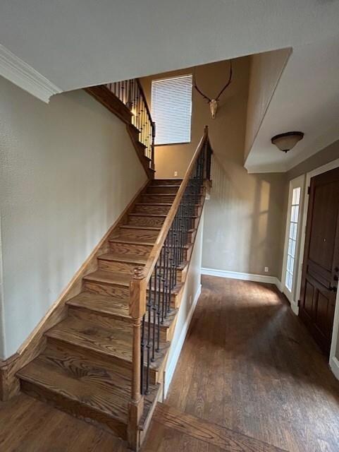 5031 Alcott St, Dallas, TX 75206 - photo 7