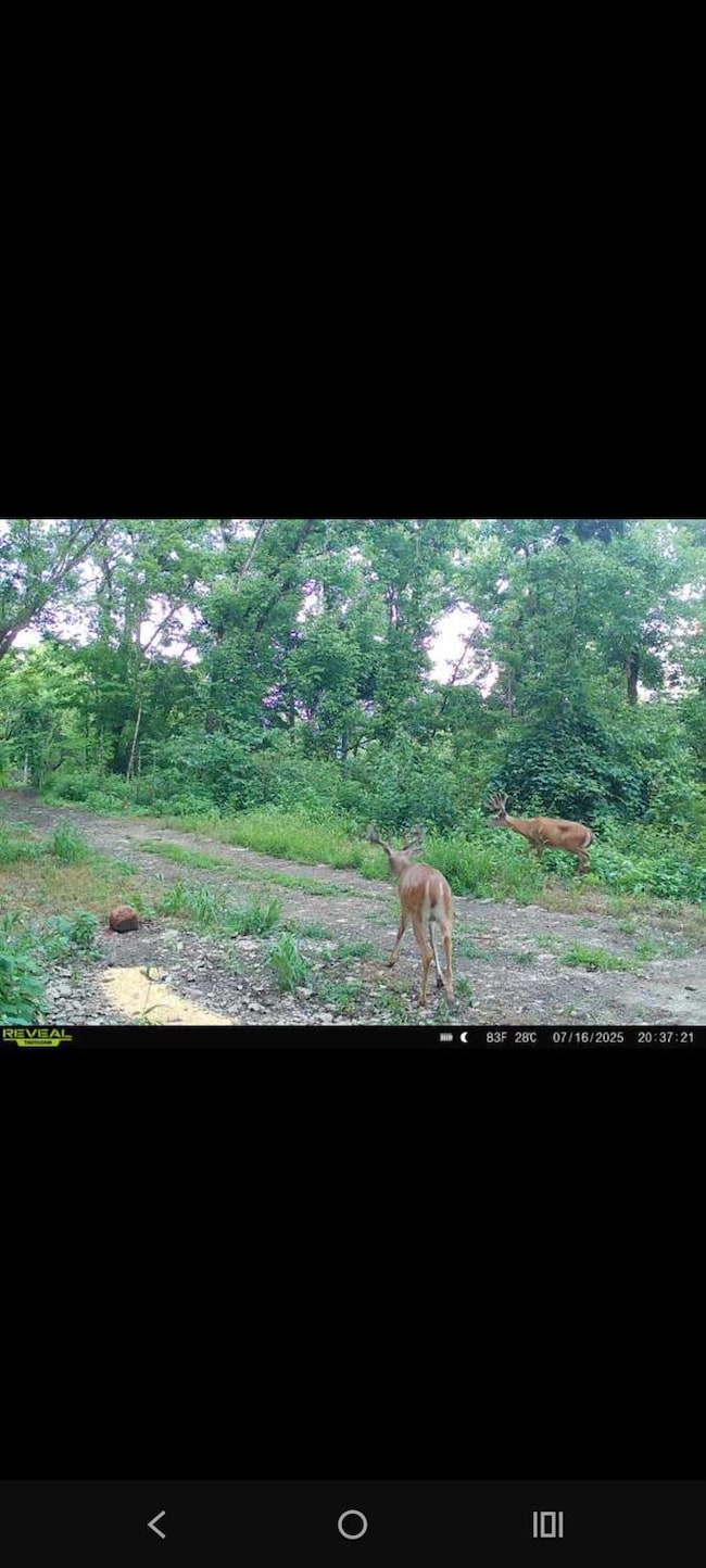 0 Markland Pike, Vevay, IN 47043 - photo 4