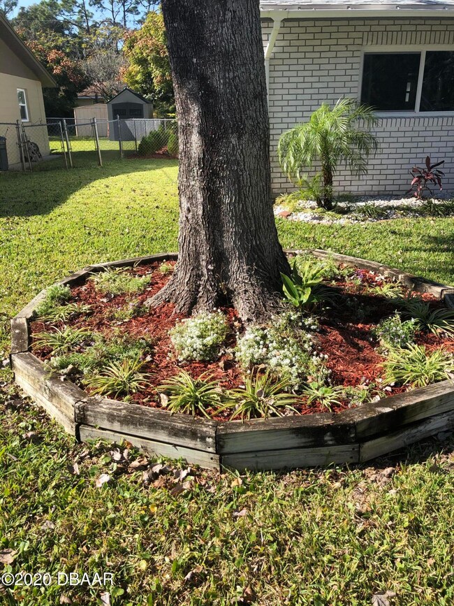 Front yard 1