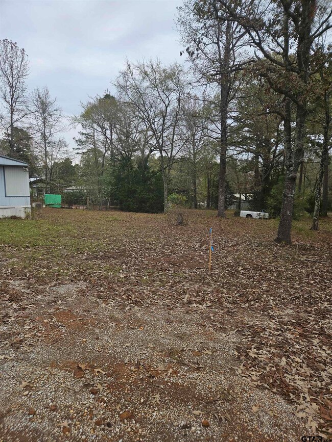 644 County Road 1519, Jacksonville, TX 75766 - photo 2