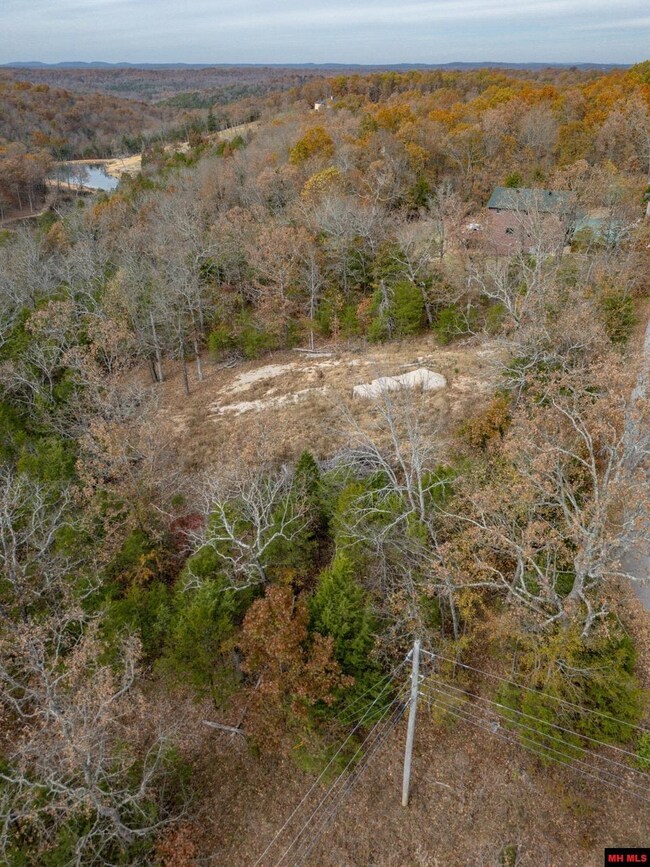 002-10735-000 Wildwood Cir, Mountain Home, AR 72653 - photo 5