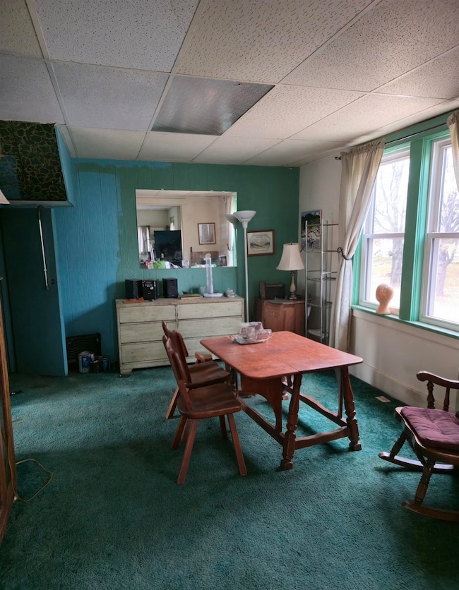 317 S 63rd Ave W, Duluth, MN 55807 - photo 4