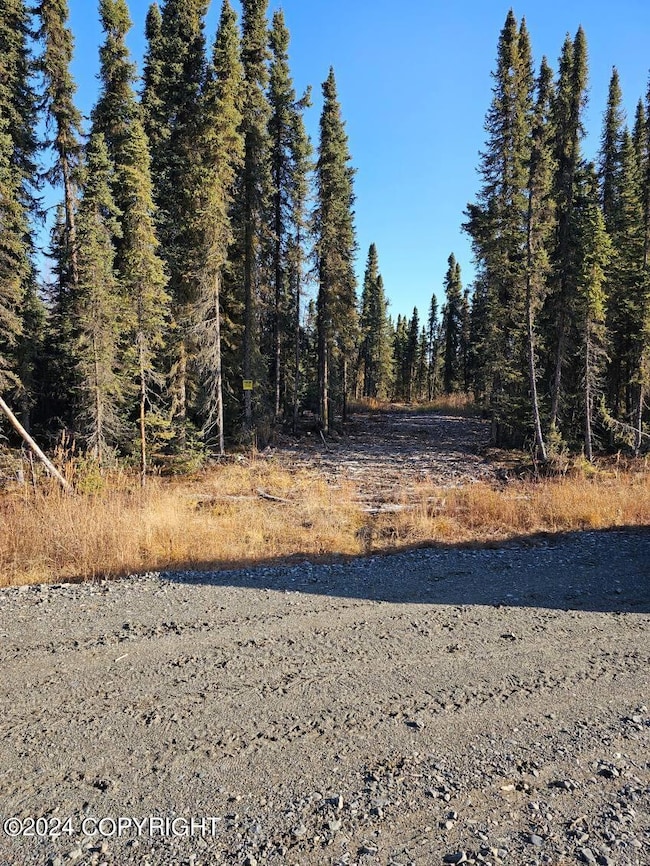 L3 Erlwein Cir, Sterling, AK 99669 - photo 2