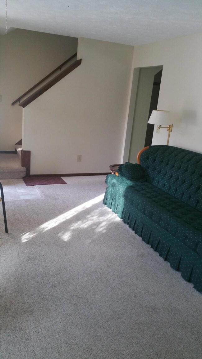 201 Tinley Dr, Lansing, MI 48911 - photo 2