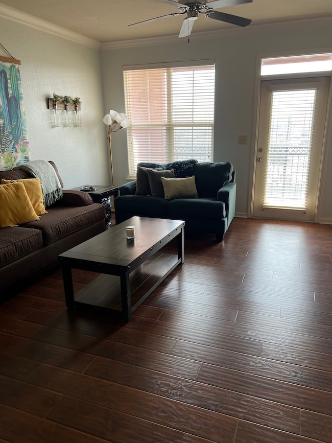 Good size living room