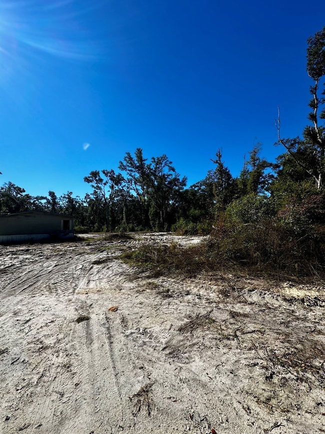 165 NE 368th Ave, Old Town, FL 32680 - photo 7