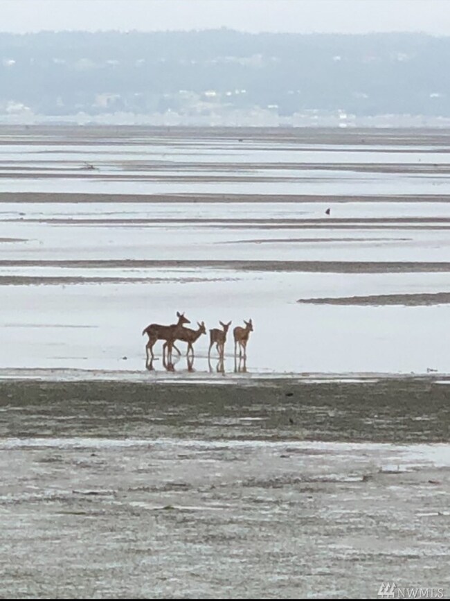 19514 Soundview Dr NW, Stanwood, WA 98292 - photo 3