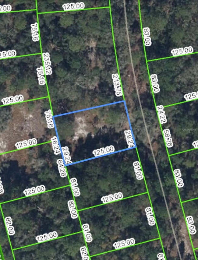 216 Rainbow Dr, Lake Placid, FL 33852 - photo 2