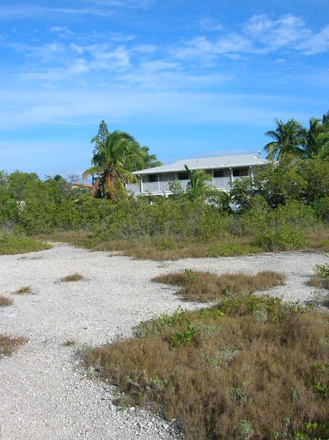 View of Interior of Lot
