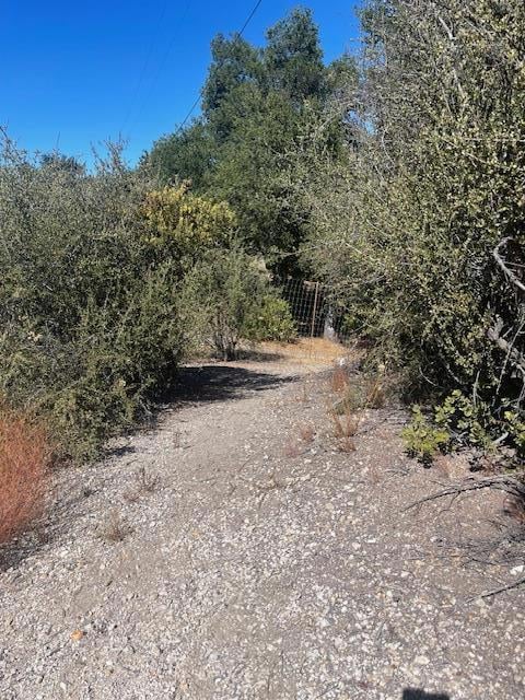 0 Cachagua unit ML82026938, Carmel Valley, CA 93924 - photo 4