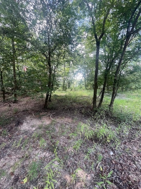 761 Addies Aly, Jesup, GA 31545 - photo 2