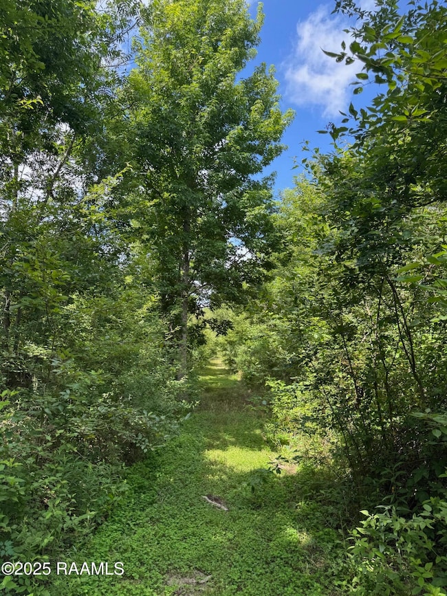 Tbd Frozard Rd unit 5, Arnaudville, LA 70512 - photo 7