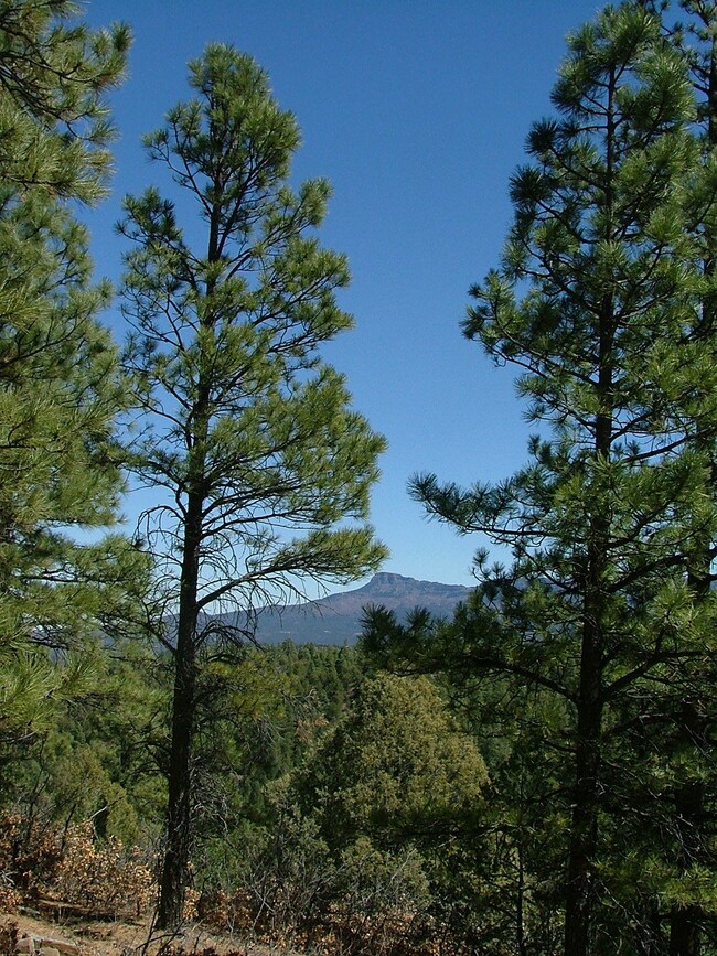 28 Puma Ct unit H13, Trinidad, CO - photo 2