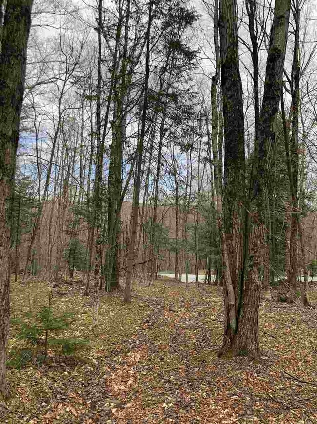 lot#5 Branch Hill Rd unit Lot 5, Readsboro, VT 05350 - photo 2