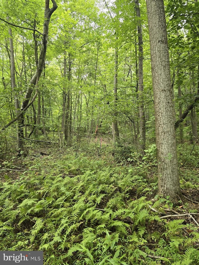 0 S Mountain Rd unit PAYK2094642, Dillsburg, PA 17019 - photo 2