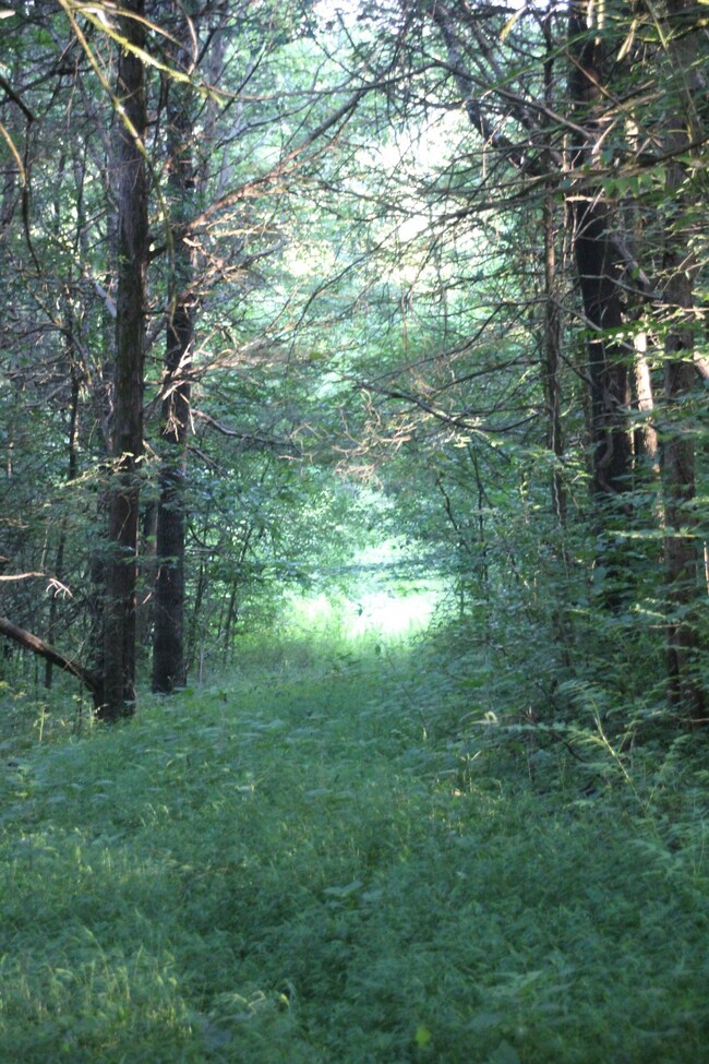 130E Highway 130, Shelbyville, TN 37160 - photo 4