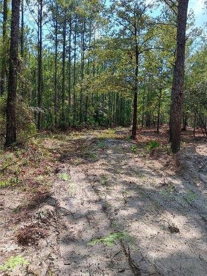 2296 Vic Waters Dr SE, Townsend, GA 31331 - photo 5