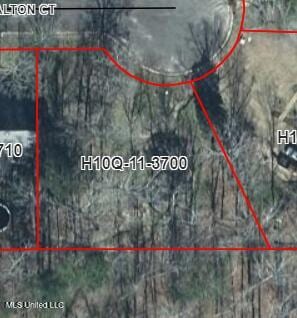 1069 Halton Ct, Brandon, MS 39047 - photo 2