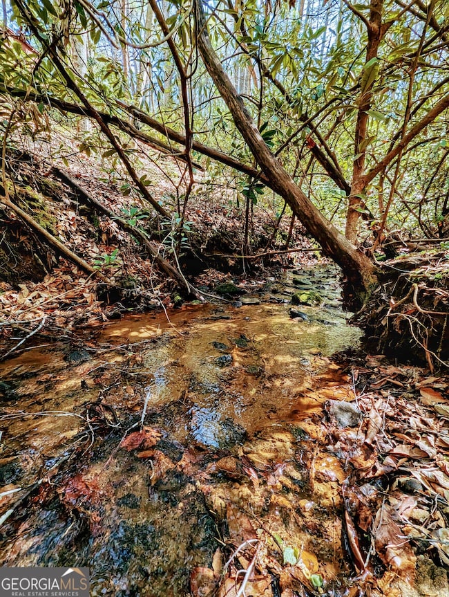Creek that Boarders Property