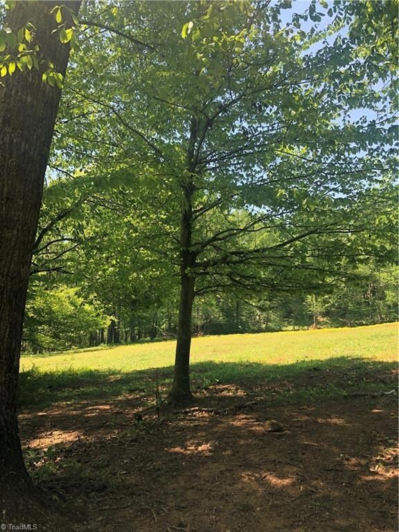 1245 Marion Spencer Rd, Lawsonville, NC 27022 - photo 3