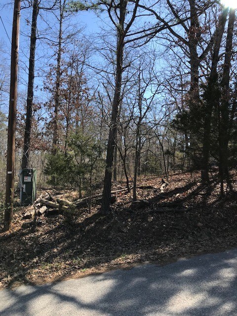 Lot 4 Block 6 Wreay Ln, Bella Vista, AR 72714 - photo 2