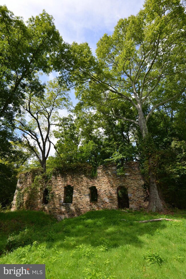 15250 Cider Mill Rd, Purcellville, VA 20132 - photo 5