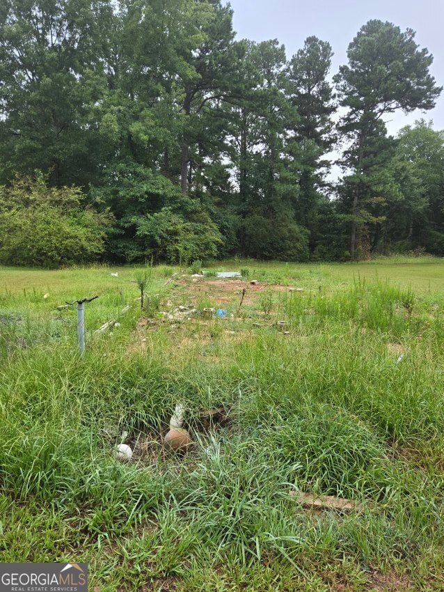 100 Hunters Ridge Dr, Monticello, GA 31064 - photo 2