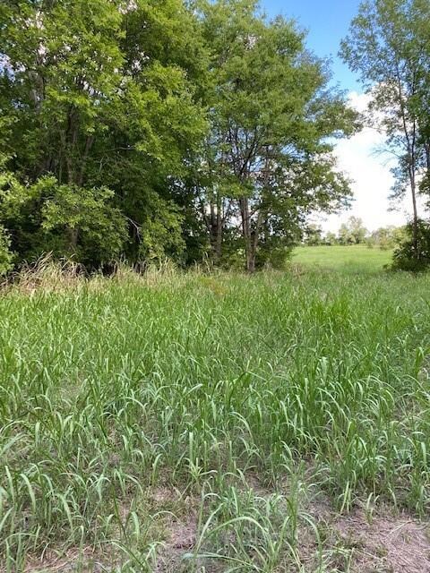 1231 County Road 4130, Bonham, TX 75418 - photo 4