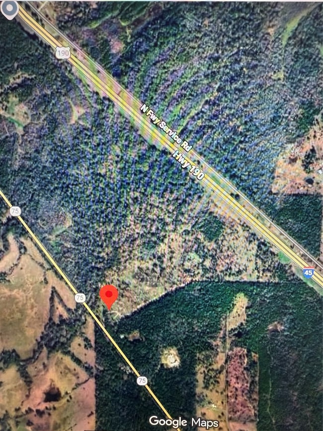 3116 State Highway 75 N, Huntsville, TX 77320 - photo 3