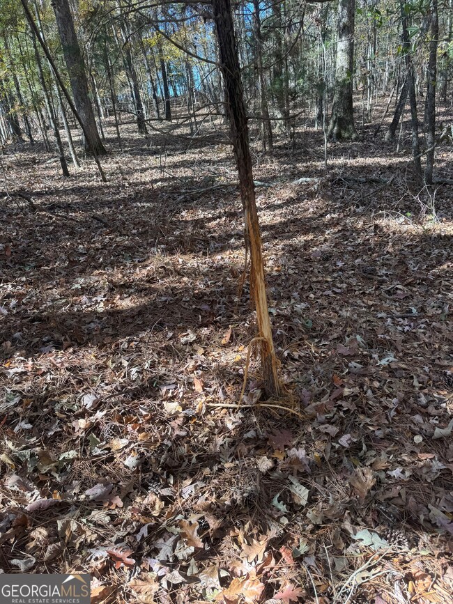 4527 Georgia 18, West Point, GA 31833 - photo 7