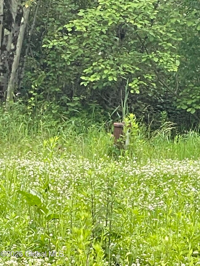 33 Turner Park Rd, Schenectady, NY 12302 - photo 6