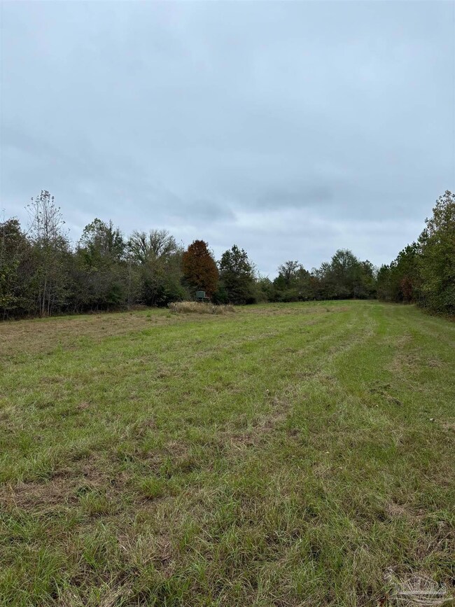 000 Apple Grove Rd, Vredenburgh, AL 36481 - photo 6