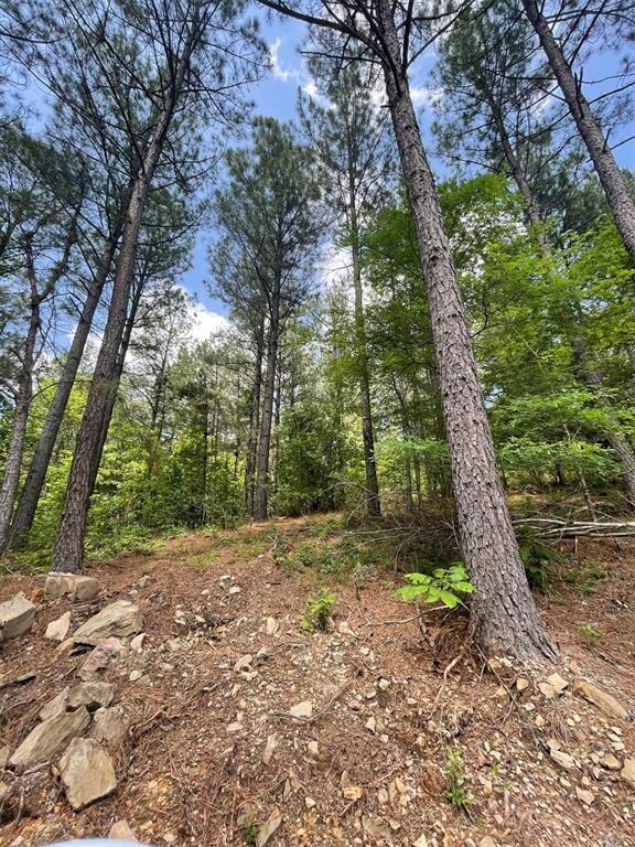 735 Timber Creek Trails South XI, Broken Bow, OK 74728 - photo 4