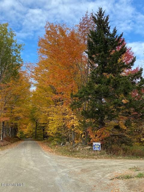 unlisted-address, Readsboro, VT 05350 - photo 3