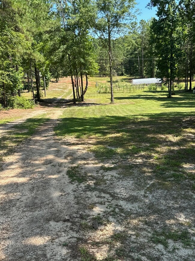 7068 Rance Perry Rd, Appling, GA 30802 - photo 7