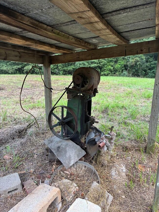 569 Henry Hart Rd, Leslie, GA 31764 - photo 2