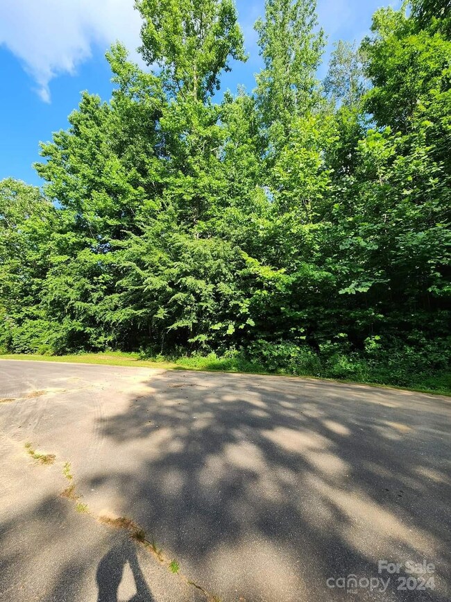 00 Merts Way unit 17, Lenoir, NC 28638 - photo 2