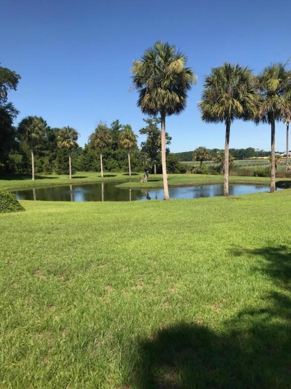 Pond