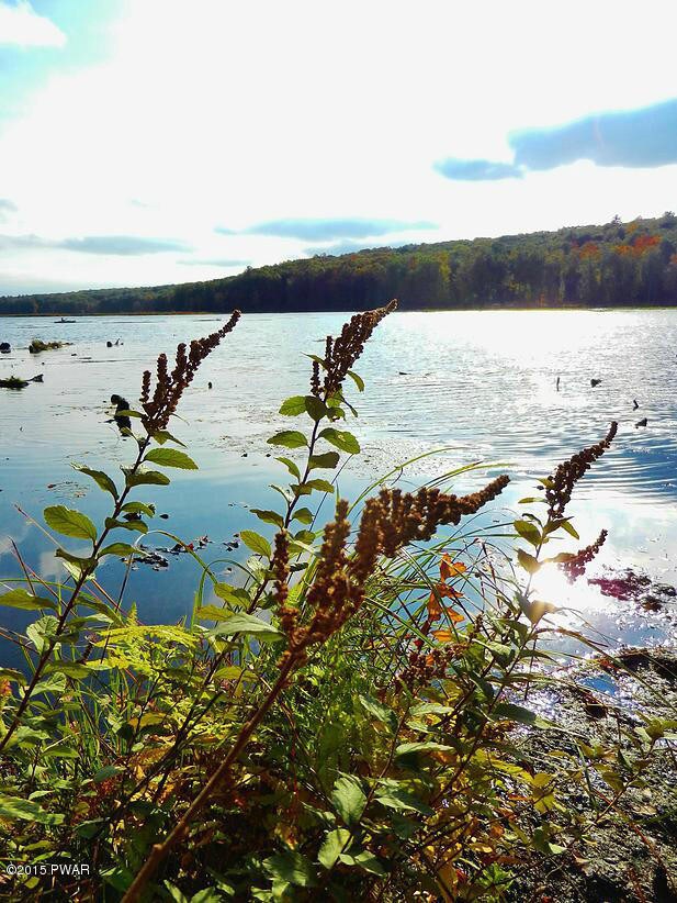 817 Muldovan Dr, Lackawaxen Township, PA 18428 - photo 5