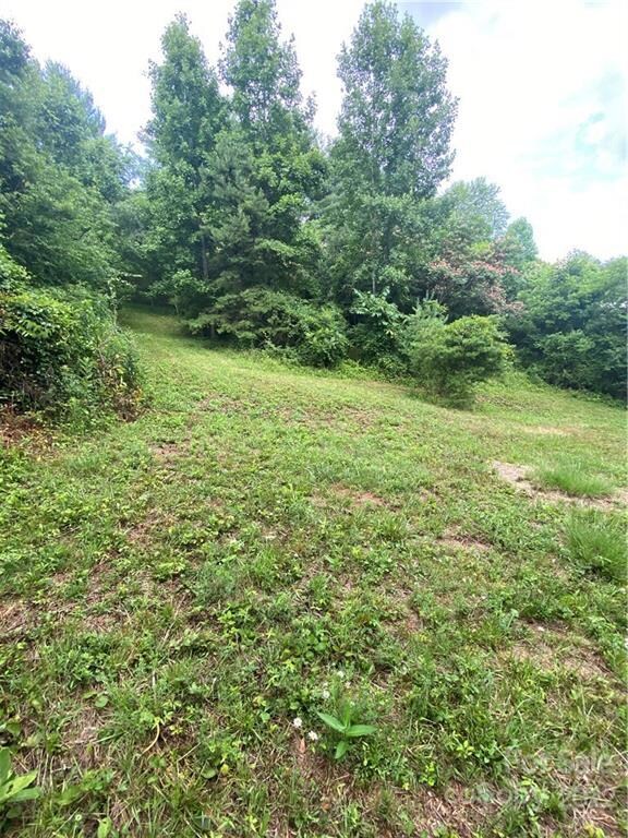 99999 Watsell Dr, Leicester, NC 28748 - photo 6