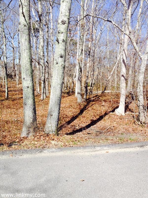 0 Ferro Way unit 32739, Tisbury, MA 02568 - photo 2